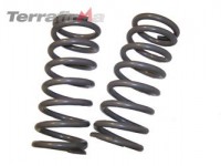 TERRAFIRMA COIL SPRINGS